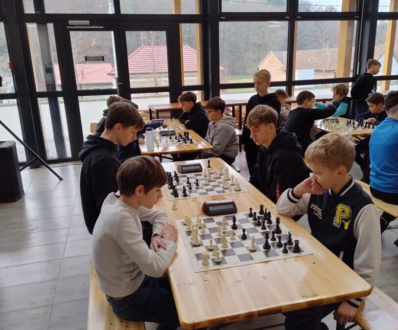 Županijsko natjecanje u šahu